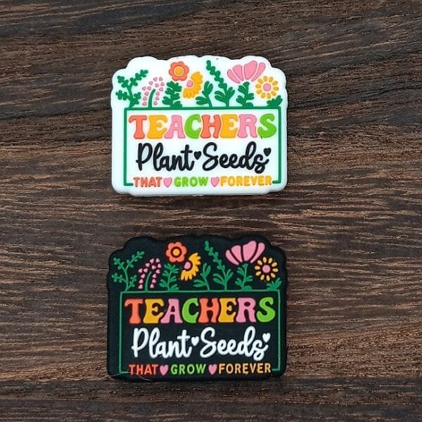 Teachers Plant Seeds Silicone Focal Bead, Assorted Colors